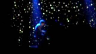 ryan adams nightbirds