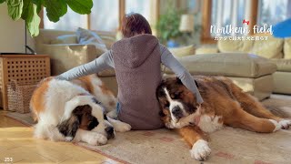 一緒にいられる時間は宝もの｜ボウとの暮らし、これから