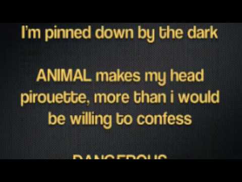 Arctic Monkeys - Dangerous Animals with Lyrics