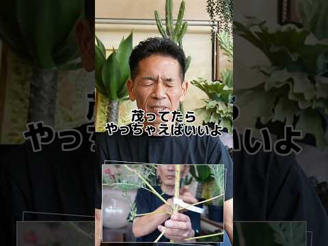 春に剪定すべきではない植物はどれですか?またその理由は何ですか?  庭園