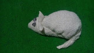 R A T - TOWEL DESIGN