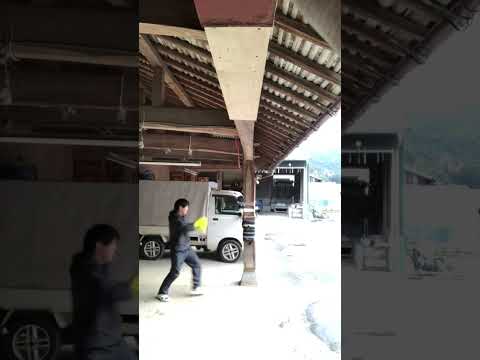 素人　コンビネーション　ミット打ち　#キックボクシング #ブレイキングダウン #breakingdown #格闘技 #mma #スパーリング #ミット打ち #総合格闘技 #boxing