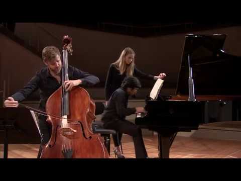 Cesar Franck sonata in A major, 1st mov, double bass, Matthew McDonald, piano Yannick Rafalimanana