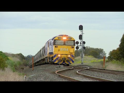 Pacific National Grain Train with 8154 & BL31 at Gheringhap - PoathTV