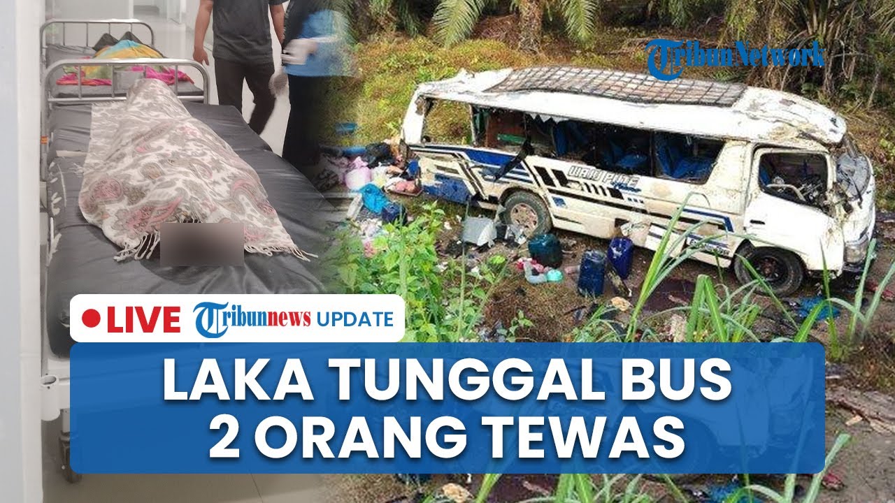 🔴 LIVE: Bus Laka Tunggal di Tanjakan Trans Sulawesi, 2 Orang Tewas Diduga karena Rem Blong
