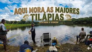 ESSA PESCARIA DE TILAPIA FOI A MELHOR DE TODAS - TILAPIAS GRANDES !
