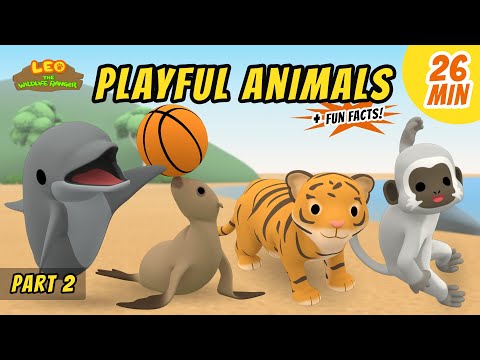 Playful Animals (Part 2/2) - Exciting & Educative Animals Stories for Kids | Leo the Wildlife Ranger