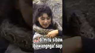 Download lagu Lagu bugis viral..!! goyang penari ular mp3 Download lagu Lagu bugis viral..!! goyang penari ular mp3