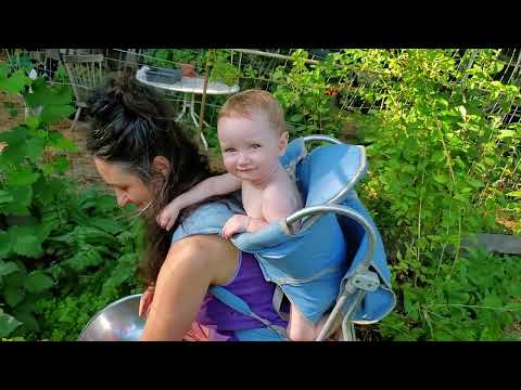 Home Garden - Detailed Tour