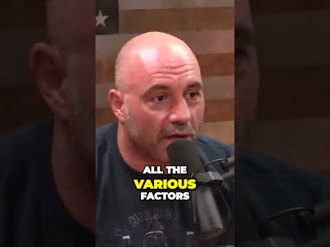 Unlocking the Hidden Powers of Mushrooms for Optimal Health