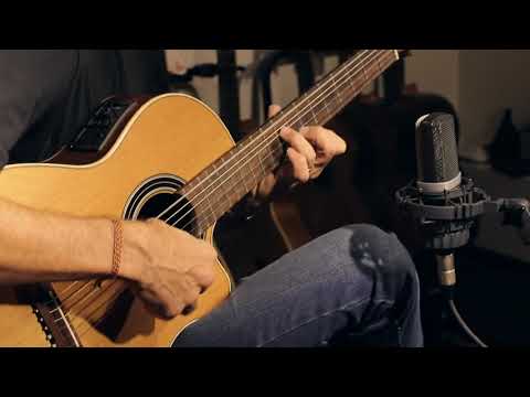 Uri Bracha - Blackbird