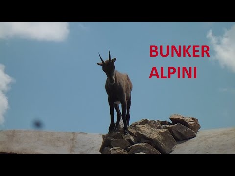 Colle della lombarda