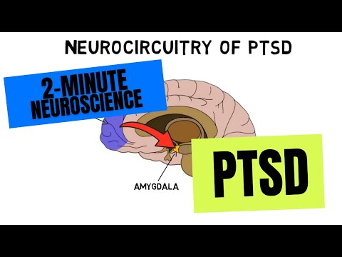 2-Minute Neuroscience: PTSD