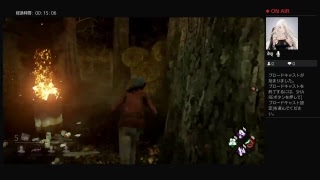 tatudoraがPS4からブロードキャスト