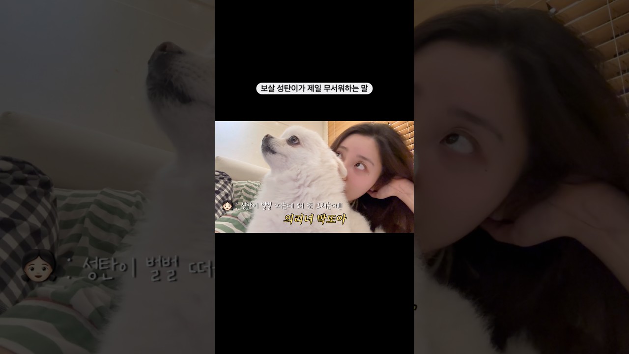 볼륨 줄여주세요⚠️