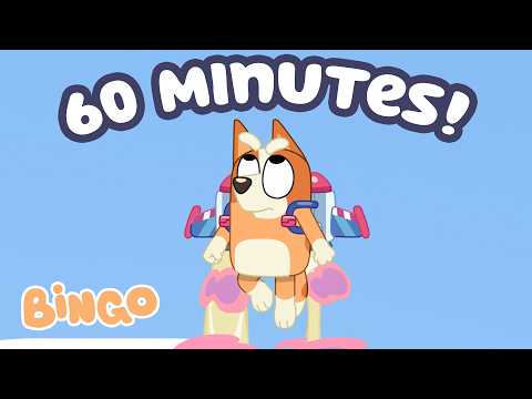 You're My Favourite Thing Bingo! 🧡 | Bingo - Official Channel