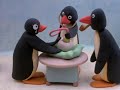 Pingu S01e04 Pinga Is Born