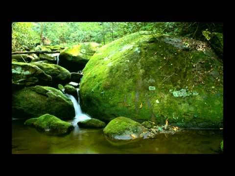 download lagu mp3 mp4 Melody Of My Heart, download lagu Melody Of My Heart gratis, unduh video klip Melody Of My Heart