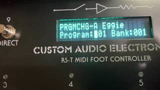 Video thumbnail for Custom Audio Electronics RST 16 Midi Foot Controller Overview by mentoneman