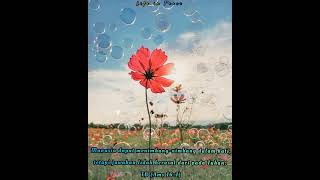 Download lagu Story Rohani // Story Wa Rohani Kristen // Story Wa Lagu Rohani Kristen mp3