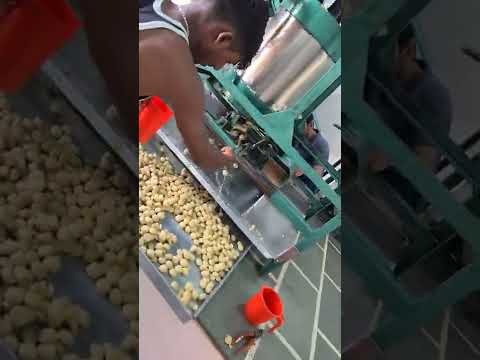 40 Kg Dough Ball Cutting Machine