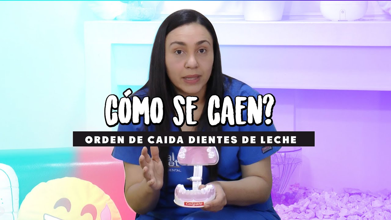 Cuidado Dental Niños 🤷 ¿Cómo es el Orden de Caída en Dientes de Leche