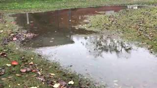 Celebrating World Water Day: Nature for Water