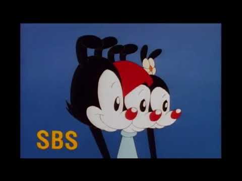 Animaniacs Stupid Brodcasting Service Logo (First Video of 2022)