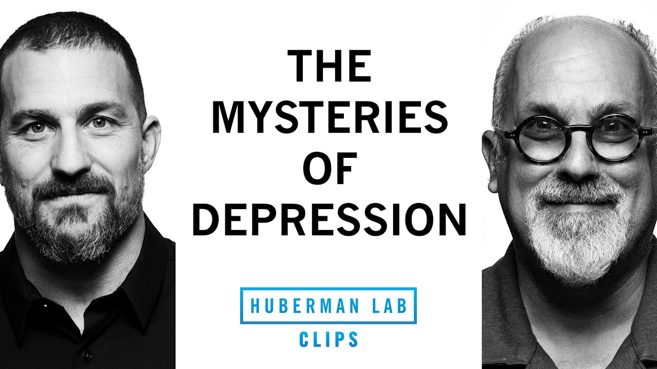 The Complexities of Treating Depression | Dr. David Linden & Dr. Andrew Huberman