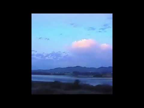 [sold] shinigami x convolk x savage ga$p type beat (p/ nevrfall)