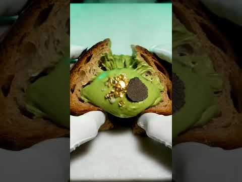 Avocado Toast Puppy Reveal