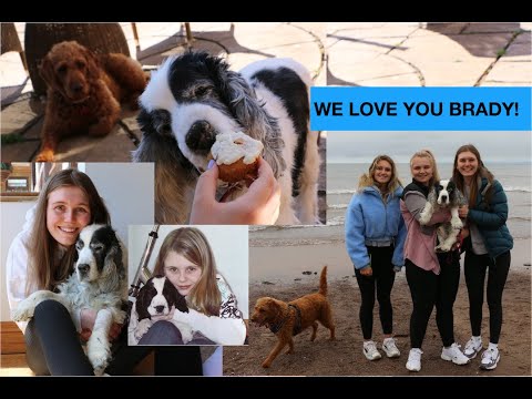 saying goodbye to Brady - the hardest thing we have ever done