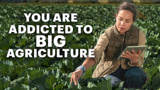 "Fast Culture" kills Bodies and Souls