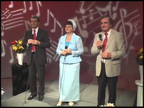 Fratii Groza - Am stat de vorba (2012)