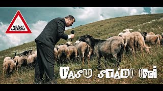 Totální nasazení - Pasu stádo ovcí (official videoklip 2021)