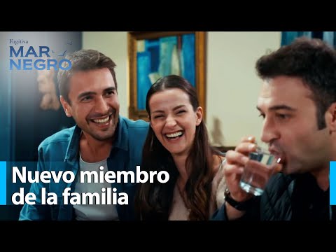 The News That Shocked Ali! - Black Sea Chapter 207 | Fugitive