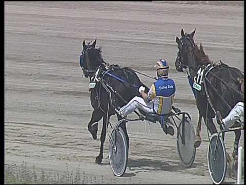 Trotto 29/05/2016 - 1° corsa