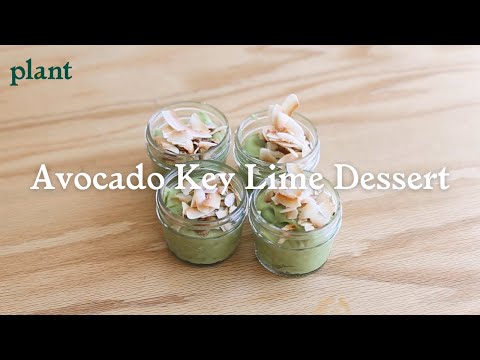 Vegan Avocado Key Lime Dessert