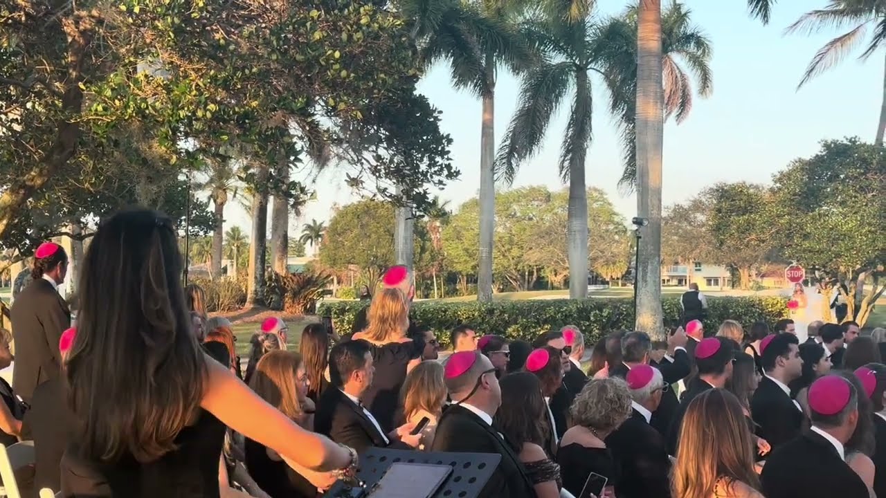 Promotional video thumbnail 2 for Hanalei Ritter Strings