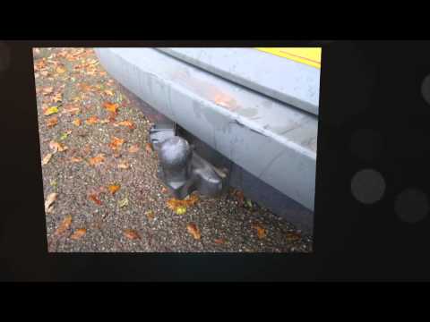 Renault Scenic 1.6 Dynamique  for sale in Honiton, Devon