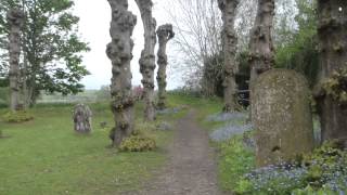 Levellers Day 2012 - Finale churchyard walk