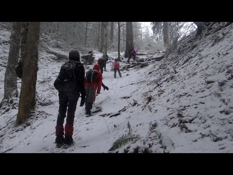 Traseu de iarna in Piatra Mare: Dambul Morii - Cabana Bunloc - Pestera de Gheata - Dambul Morii