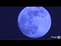 Chris Isaak - Blue Moon 