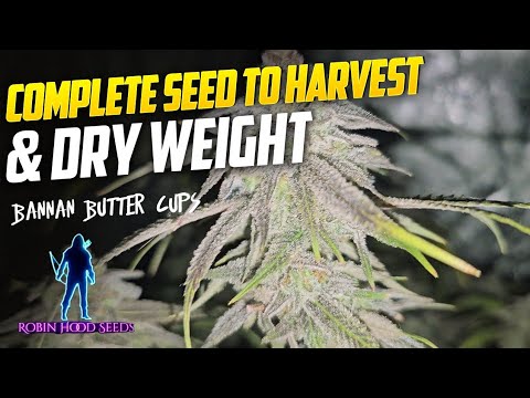 Seed to Harvest Guide For New Growers, Spiderfarmer SE-3000