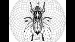 Hail Mary Mallon - Meter Feeder Blockhead Remix