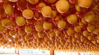 How to Mass Produce Traditional Dried Persimmons in Rural Korea. Gotgam Manufacturing Farm