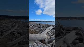 Tranquil Tides 🌊 Slow Motion Beach for Deep Relaxation into black screen