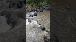 Destination Guide Sumberpandan Jawa Timur In Indonesia Destination Guide Sumberpandan Jawa Timur In Indonesia