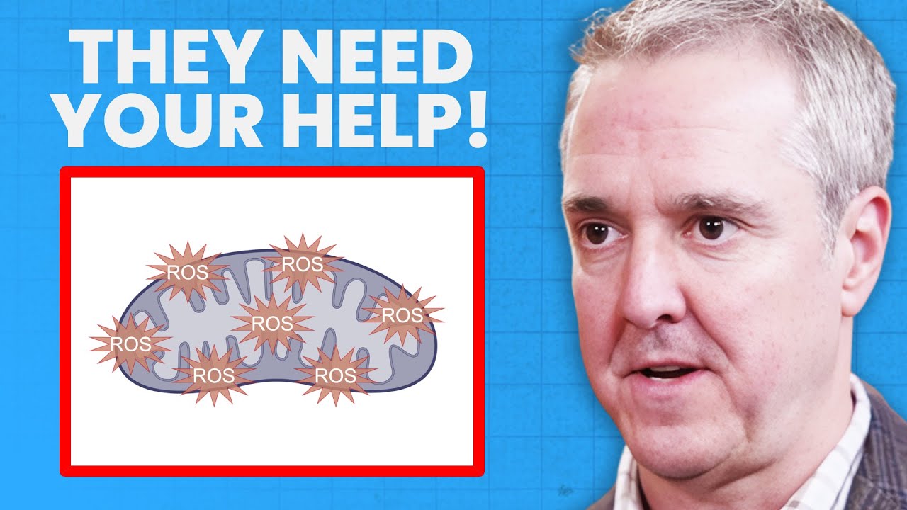 How to Repair Your Mitochondria if They're Old and Damaged | Dr. Chris Palmer