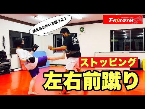 【基No.86】左右の前蹴り！ストッピングができると有利【キックボクシング基礎】
